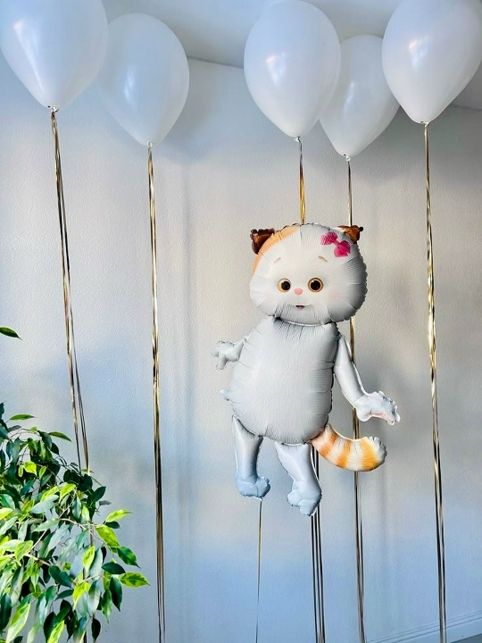 Кошечка Ли-Ли